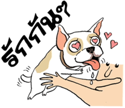 French Bulldogs, Lucky&Lucy sticker #7824335