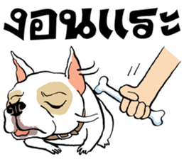 French Bulldogs, Lucky&Lucy sticker #7824337