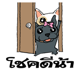 French Bulldogs, Lucky&Lucy sticker #7824339