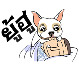 French Bulldogs, Lucky&Lucy sticker #7824342