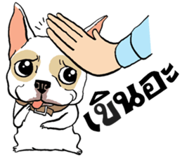 French Bulldogs, Lucky&Lucy sticker #7824346