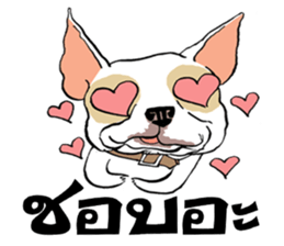 French Bulldogs, Lucky&Lucy sticker #7824349