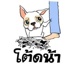 French Bulldogs, Lucky&Lucy sticker #7824355