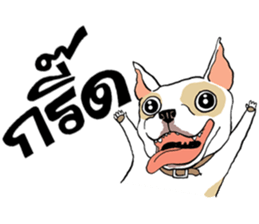 French Bulldogs, Lucky&Lucy sticker #7824356