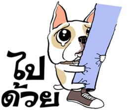 French Bulldogs, Lucky&Lucy sticker #7824357