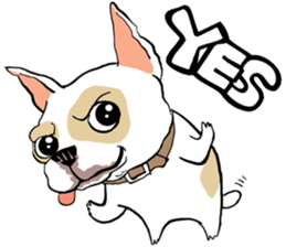 French Bulldogs, Lucky&Lucy sticker #7824359