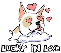 French Bulldogs, Lucky&Lucy sticker #7824360