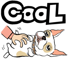 French Bulldogs, Lucky&Lucy sticker #7824367