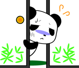 Serious - Dating Hen Panda sticker #7825847