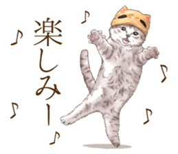 Headgear Cat sticker #7826655