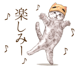 Headgear Cat sticker #7826655