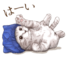 Headgear Cat sticker #7826656