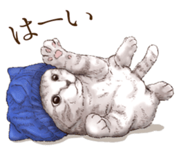 Headgear Cat sticker #7826656