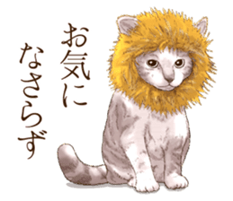 Headgear Cat sticker #7826661