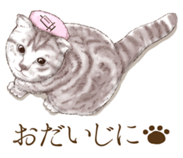 Headgear Cat sticker #7826671