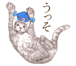 Headgear Cat sticker #7826676