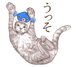 Headgear Cat sticker #7826676