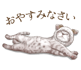 Headgear Cat sticker #7826685