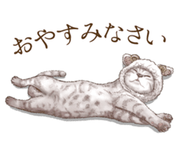 Headgear Cat sticker #7826685