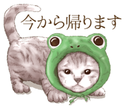 Headgear Cat sticker #7826686