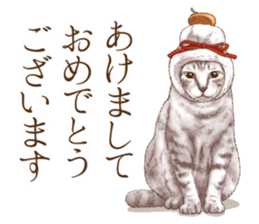 Headgear Cat sticker #7826690