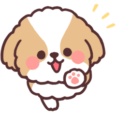 Fluffy Shih Tzu 3set By Natsumi Fluffy Shih Tzu 3set By Natsumi