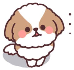 fluffy shih tzu 3set sticker #7827397