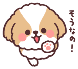 fluffy shih tzu 3set sticker #7827411