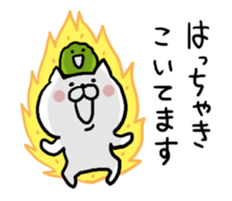 Hokkaido dialect Cat and MARIMO sticker #7828031