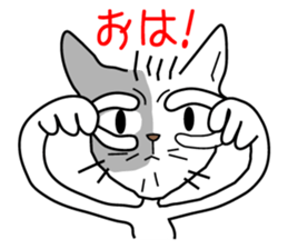 Nyaninu white cat sticker #7828894
