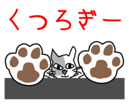 Nyaninu white cat sticker #7828925