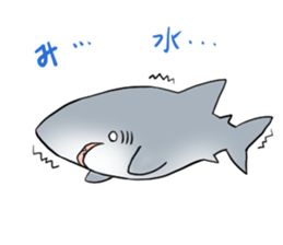 Funny shark sticker #7829371