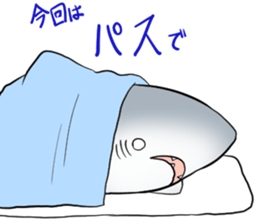 Funny shark sticker #7829379