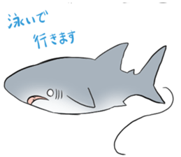 Funny shark sticker #7829386