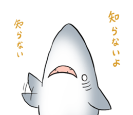 Funny shark sticker #7829387