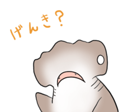 Funny shark sticker #7829392