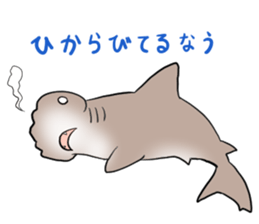 Funny shark sticker #7829393
