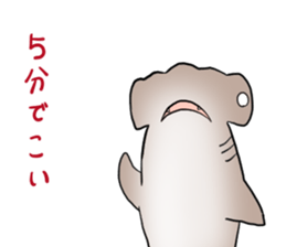 Funny shark sticker #7829398