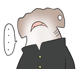 Funny shark sticker #7829401