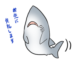 Funny shark sticker #7829404