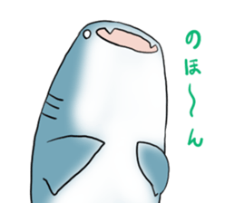Funny shark sticker #7829405