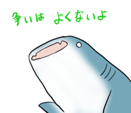 Funny shark sticker #7829406