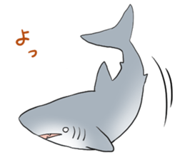 Funny shark sticker #7829409