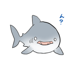 Funny shark sticker #7829410