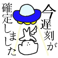 Daily life of the moco