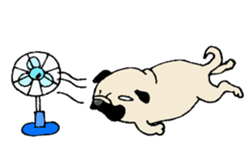 Pug Friend sticker #7832871