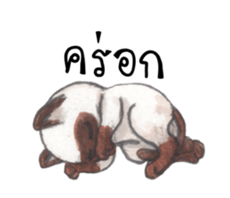 Jao Tam sticker #7838944