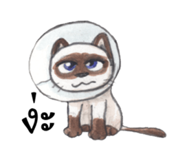 Jao Tam sticker #7838947