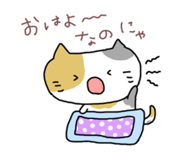 Daily tortoiseshell cat Moke sticker #7842239