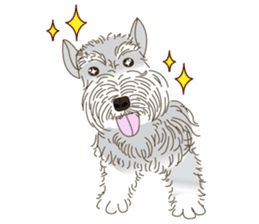 Kaopun sticker #7844102